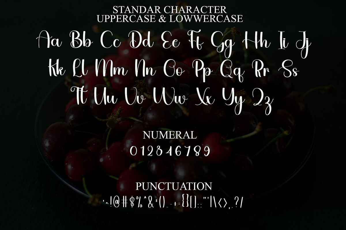 Seasalt, a Handwritten Font by FreshTypeINK (Photo 3 of 8)
