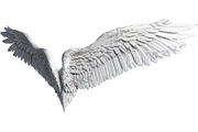 set of photorealistic angel wings, an Object Graphic by itakdalee (Thumbnail 2 of 11)