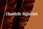 Saneco | Display Serif, a Serif Font by Jolicia Type (Thumbnail 12 of 12)