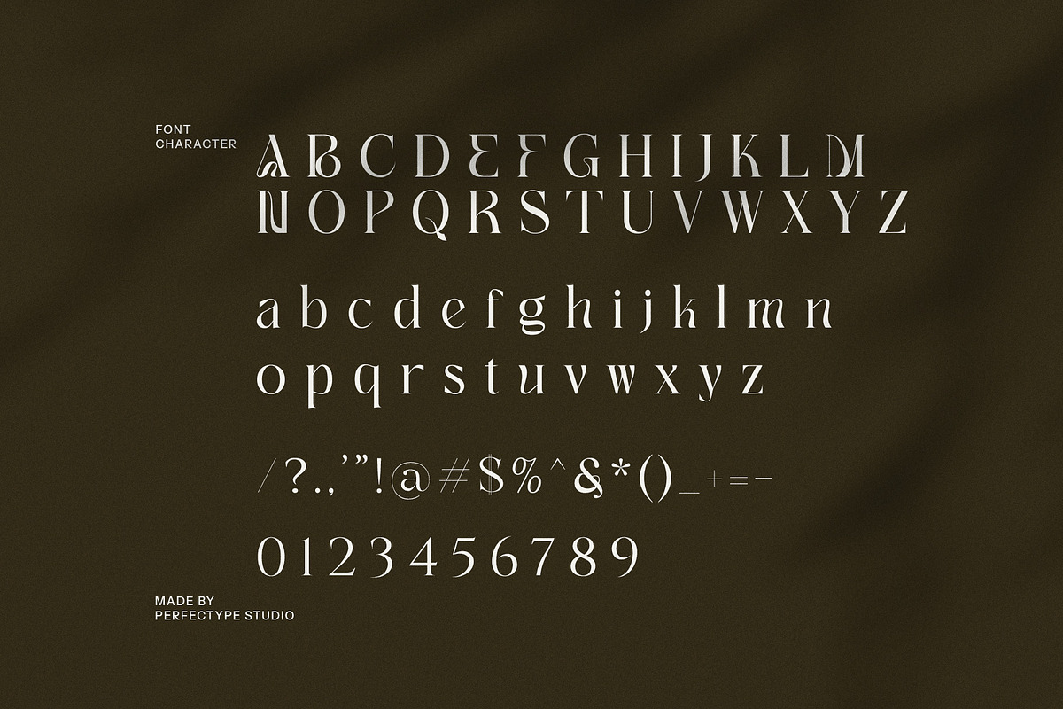 New Mick Serif Font, a Serif Font by Perfectype (Photo 8 of 8)