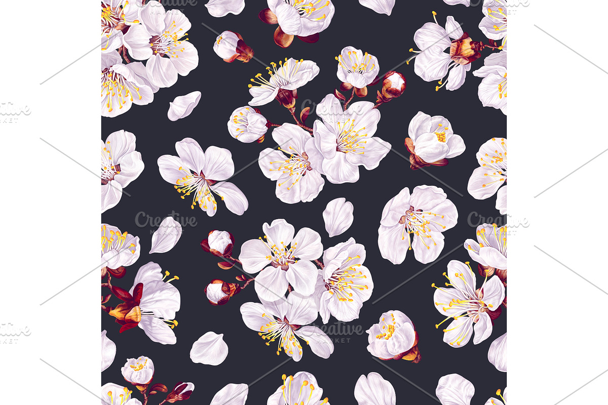 Apricot Branches Big Floral Set, an Illustration by MarynaPetrovska (Photo 8 of 23)