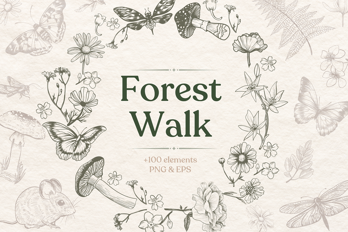 Forest Walk, an Animal Illustration by TatianaCociorva (Photo 1 of 6)