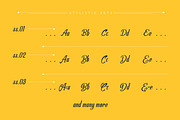 Allema Script Font, a Script Font by Aktab Studio (Thumbnail 12 of 13)