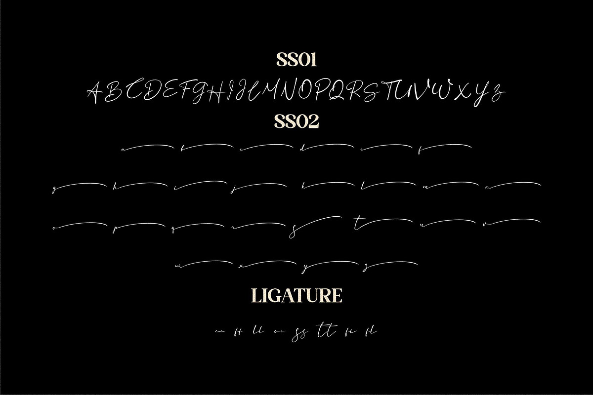 Basstian Signature LS, a Script Font by GranzCreative (Photo 2 of 18)