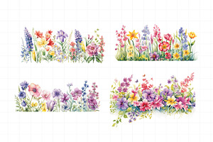 Wild Flower Borders