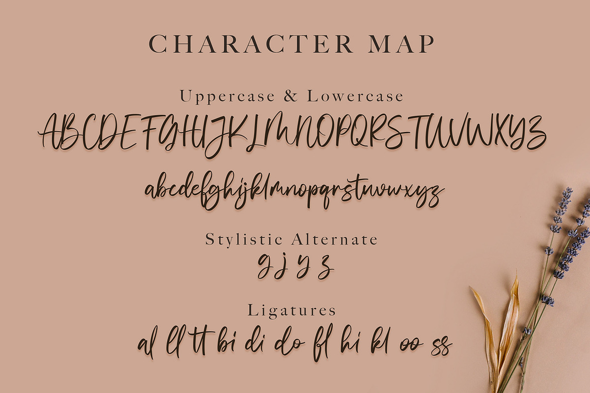 Vivy Aquilla - Handwritten Font, a Script Font by StringLabs (Photo 8 of 10)