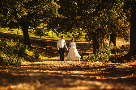 Couple in love walking along park, a Person Photo by IvashStudio