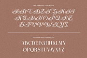 The Darling Beautiful Hybrid Serif, a Serif Font by RantautypeStudio (Thumbnail 12 of 19)