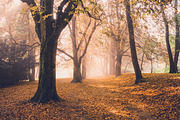 10 Stunning Matte Landscape Presets, a Preset Add-On by Timeless Presets (Thumbnail 9 of 13)