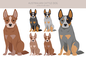 Australian Cattle Dog Clipart