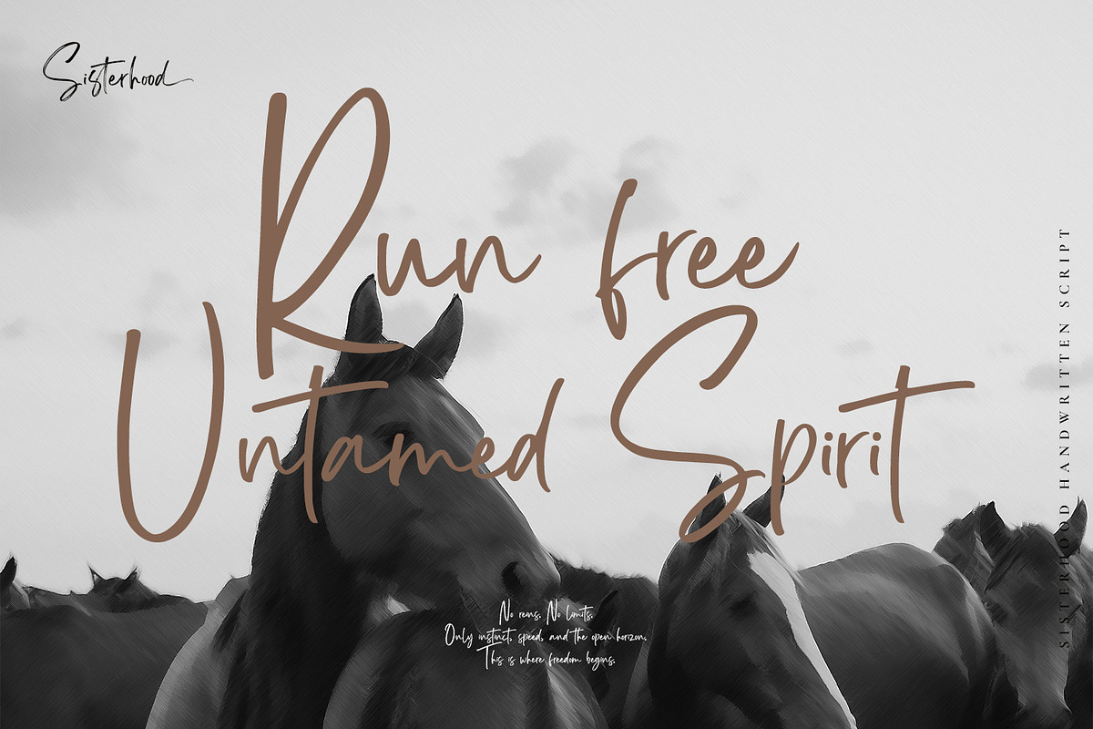 Sisterhood - Chic Brush Font, a Script Font by din-studio.com (Photo 5 of 16)