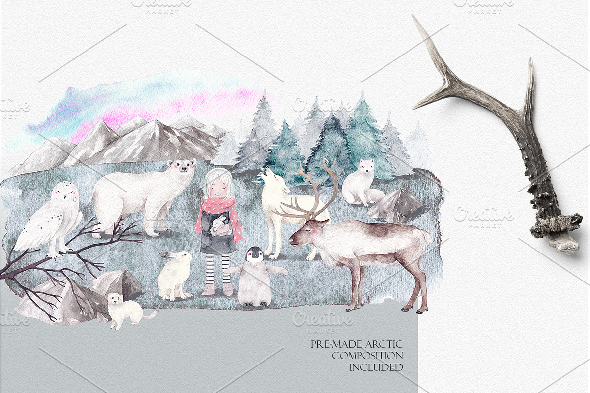 ARCTIC ANIMALS watercolor set PART 1, an Animal Illustration by Natali Smolova (Photo 6 of 7)