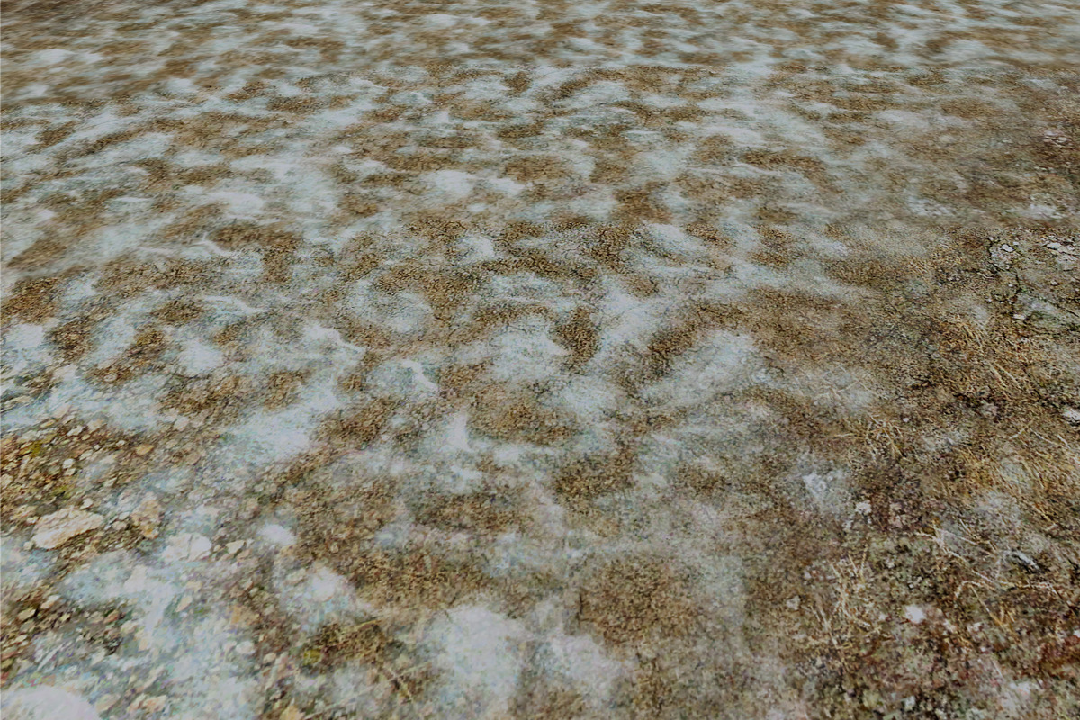 AUTUMN AND WINTER TEXTURE PACK, a Textures & Material 3D Model by Beatheart Creative Studio (Photo 34 of 58)