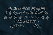 Modern Brush - Script And Sans Font, a Script Font by Luna Shop (Thumbnail 2 of 7)