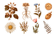 Witchy Botanica Collage Kit, an Object Graphic by Idressart (Thumbnail 3 of 9)
