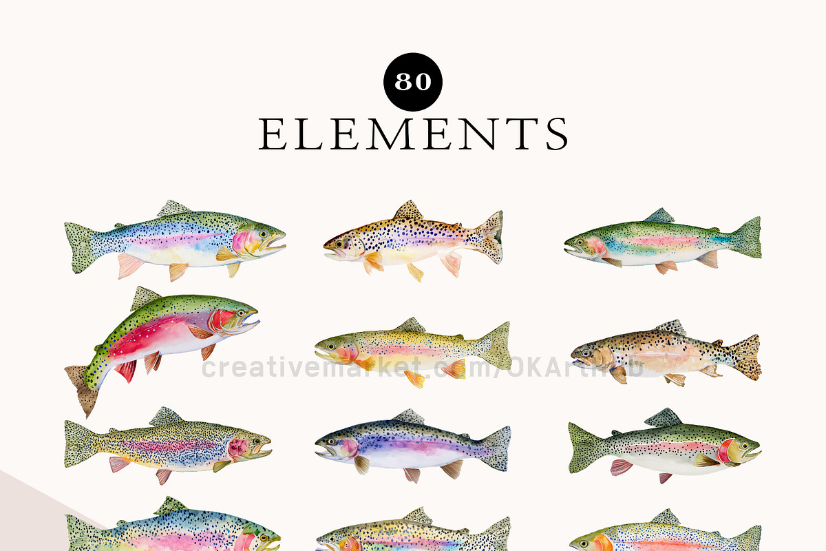 Watercolor Trout Fish Clipart, a Decorative Illustration by OKArtHub (Photo 3 of 8)