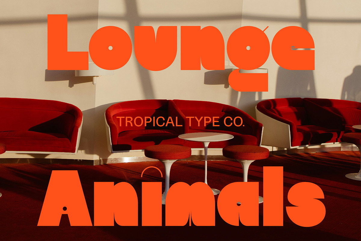 Willow Sans, a Sans Serif Font by Tropical Type (Photo 4 of 11)