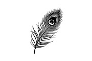 Peacock Feather Silhouette Bundle, an Illustration by jahid234 (Thumbnail 15 of 31)