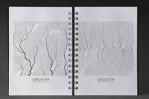 Growth Textures 3