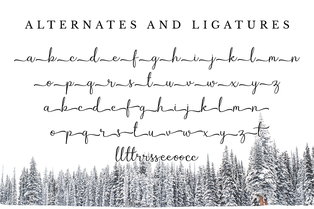 Winterbean - Modern Calligraphy Font, a Script Font by Sibelumpagi Studio (Photo 12 of 12)