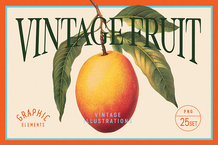 Vintage Graphic Elements_FRUITS, an Object Illustration by BOLD.Graphic