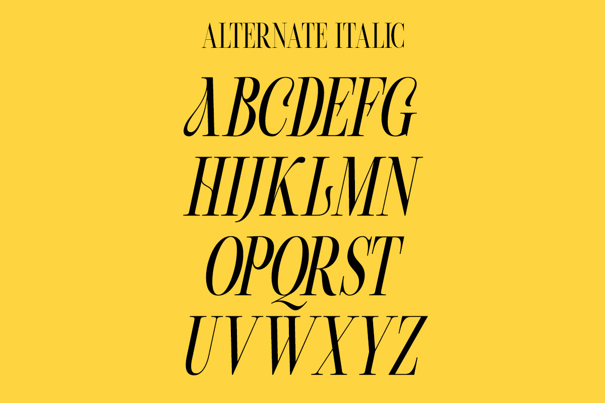 Beachwalk | Elegant Retro Serif, a Serif Font by Muntab_Art (Photo 11 of 13)