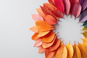 Color palette mockup featuring an artistic arrangement of vibrant leaves in var, a Photo by AlyaAnd
