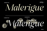 Alerigue — Editorial Serif Font, a Serif Font by Black Junst (Thumbnail 10 of 16)