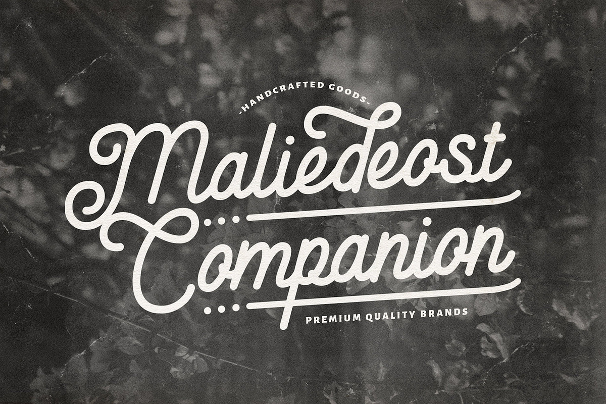 Anelka Fambuya - Monoline Retro Font, a Script Font by StringLabs (Photo 6 of 14)