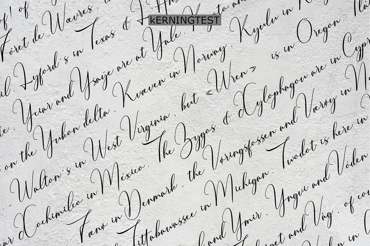 Thougai, a Script Font by danti (Photo 7 of 8)