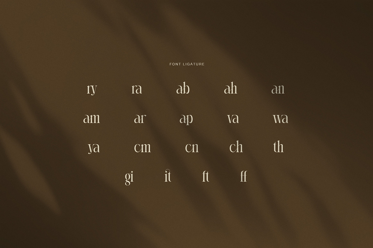 Memory Elegant Serif Font, a Serif Font by Graphicxell (Photo 8 of 8)