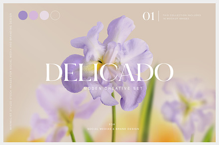 #1 Delicado. Branding & social media