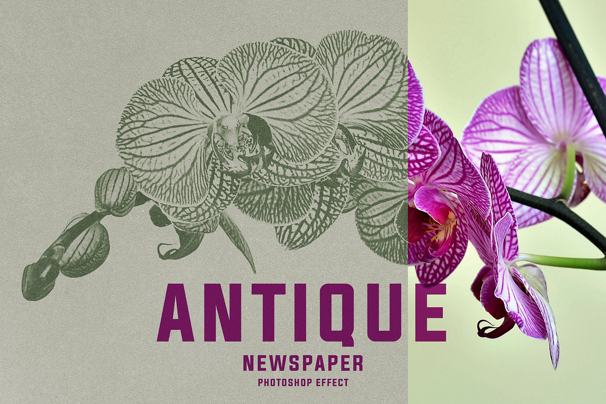 ANTIQUE Newspaper Vintage PSD Effect, a Templates & Theme by velvetmade.designs (Photo 1 of 12)