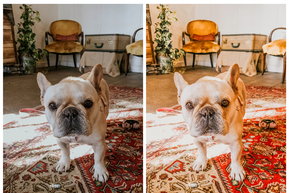 Light and Airy Warm Lightroom Preset, a Preset Add-On by artboard1 (Photo 7 of 7)