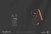 Bizantheum, a Serif Font by Aluyeah Studio (Thumbnail 3 of 15)