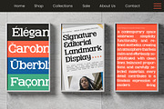 Glinos Modern Slab Serif, a Slab Serif Font by timelesstype.co (Thumbnail 3 of 10)