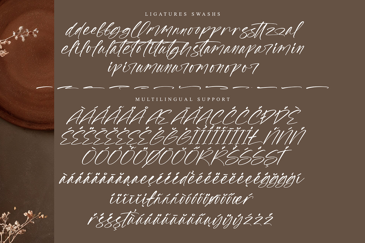 Strokeline Monogram, a Handwritten Font by operatype.co (Photo 10 of 15)