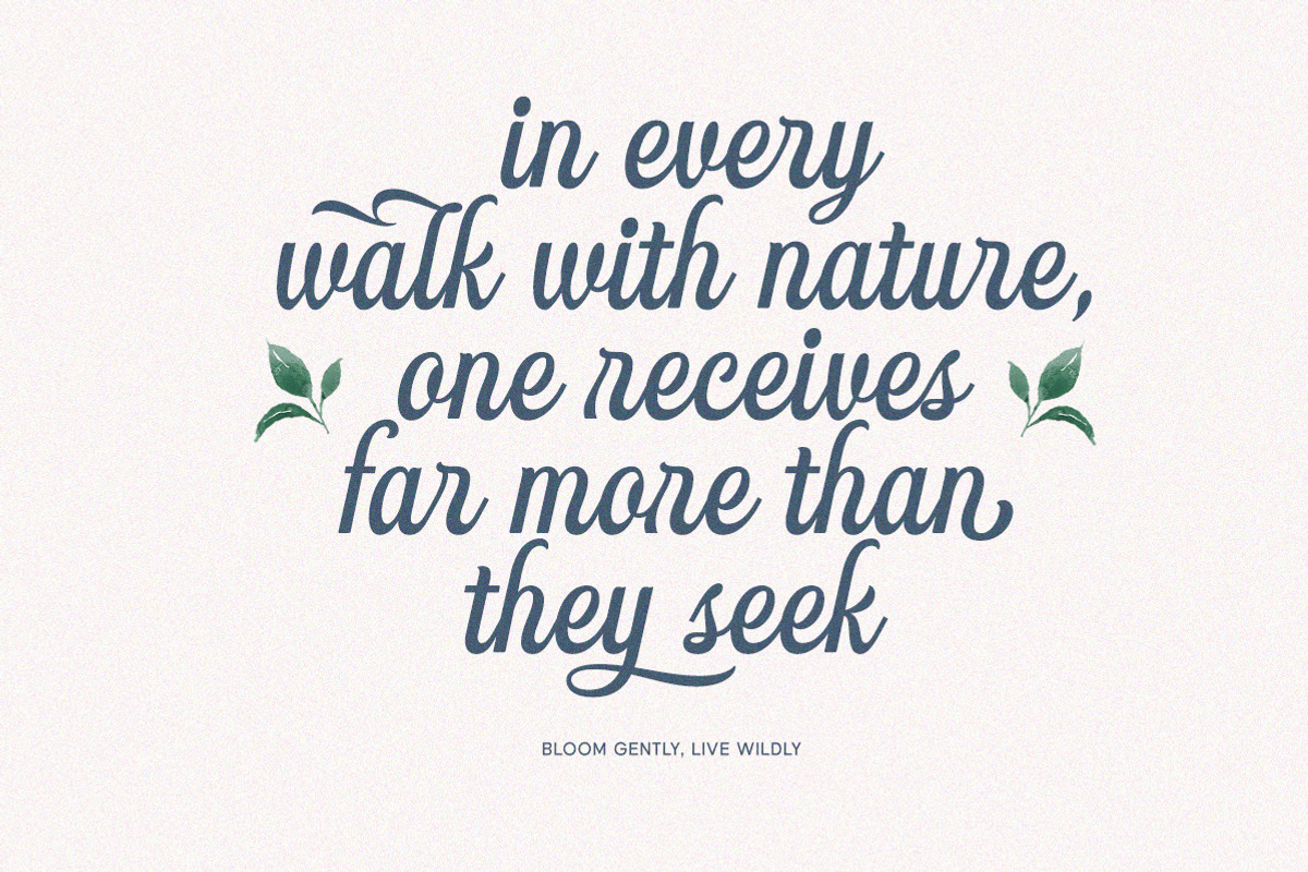Monthly Activity Script, a Script Font by Letterhend Studio (Photo 4 of 11)