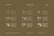 Loreda, a Serif Font by Ardyanatypes (Thumbnail 9 of 12)