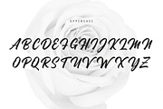 Madame - SUMMER SALE - 70% OFF!, a Handwritten Font by StereoType (Thumbnail 6 of 9)