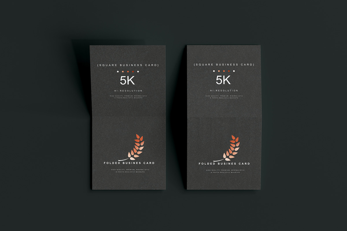 Folded Square Business Card Mockups, a Print Template by pmvch (Photo 11 of 20)