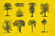 37 Vintage Tree Illustrations, an Object Graphic by AndrewPixel (Thumbnail 2 of 8)