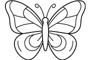 Ornamental Butterfly SVG Bundle, an Object Graphic by Gfx_Store (Thumbnail 2 of 16)