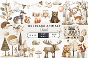 Woodland Animal Clipart, an Animal Illustration by EllyandLima (Thumbnail 1 of 10)