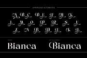 Anikea - Luxury Branding Logo Font, a Serif Font by Nirmana Visual (Thumbnail 4 of 11)