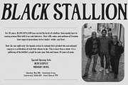 Marrowfield, a Serif Font by deadlock studio (Thumbnail 2 of 9)