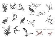 Hand Drawn Vintage Birds, an Object Graphic by danielcomerci (Thumbnail 2 of 3)