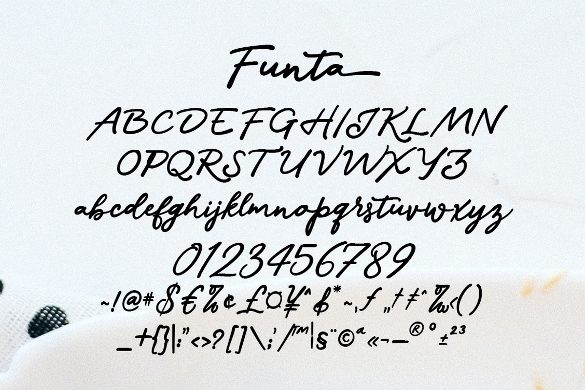 Funta, a Script Font by Gatype (Photo 4 of 8)