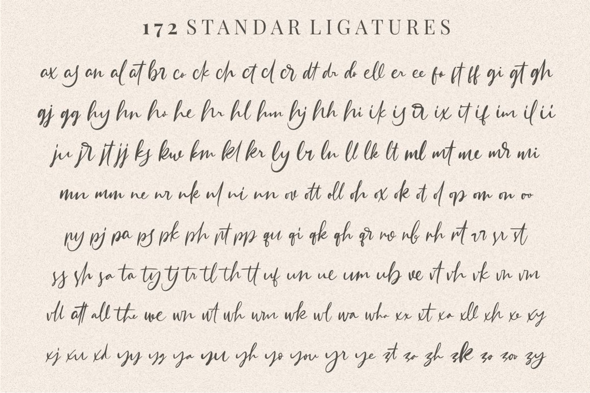 Sattersoon - Modern Script Font, a Script Font by Garisman Std (Photo 8 of 10)