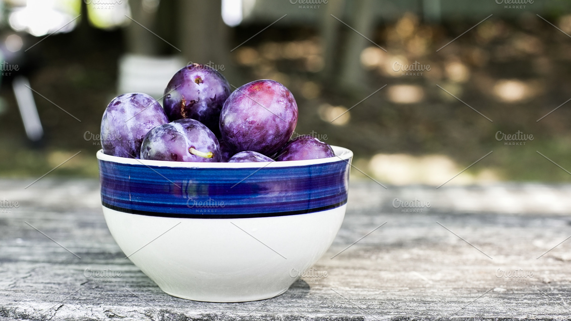 Freshly harvested plums in a blue an, a Food & Drink Photo by 1miromiro